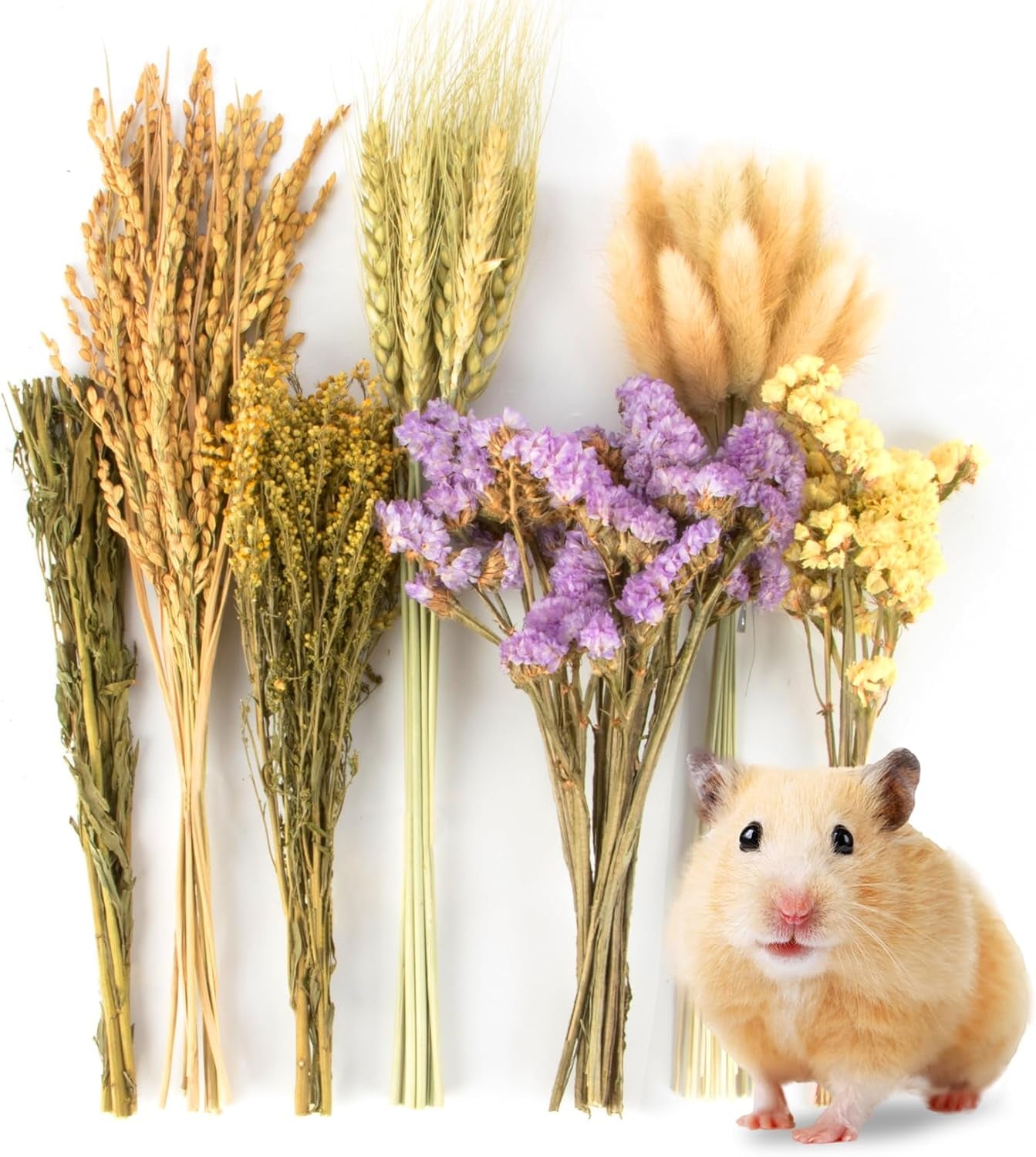 sukh-60pcs-hamster-sprays-natural-flower-herb-bedding-habitat-decor-natural-grain-and-herb-sprays-for-syrian-dwarf-hamsters-gerbils-rabbits-and-small-pets-for-foraging-and-cage-enrichment