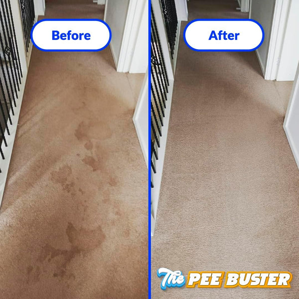 The Pee Buster Pet Stain Remover - Cleaning Spray for Dog and Cat Urine with 5 Cleaning Tablets5