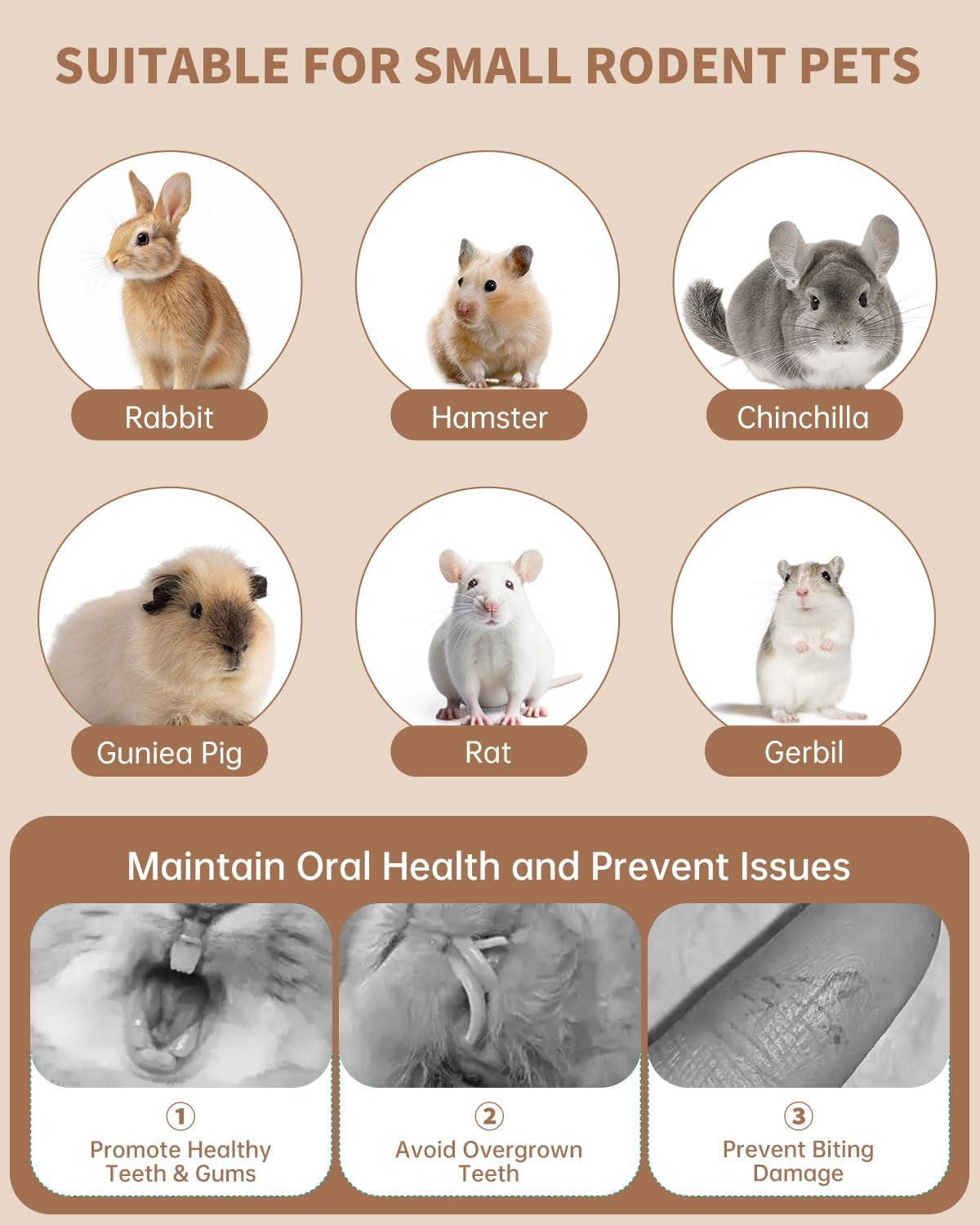31pcs-rabbit-chew-treat-toys-for-teeth-health-natural-bunny-enrichment-toys-for-boredom-stress-relief-keep-busy-toys-for-guinea-pig-chinchilla-hamster-rat-gerbil-degu-indoor-outdoor
