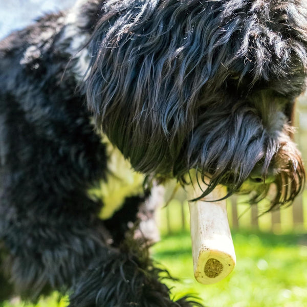 Cadet Stuffed Shin Bones for Dogs, Peanut Butter Flavor, Large, 5-6" | Long Lasting Dog Chew Bone for Aggressive Chewers, Supports Dental Health, Dog Bones for Large Dogs, Keeps Dogs Busy2