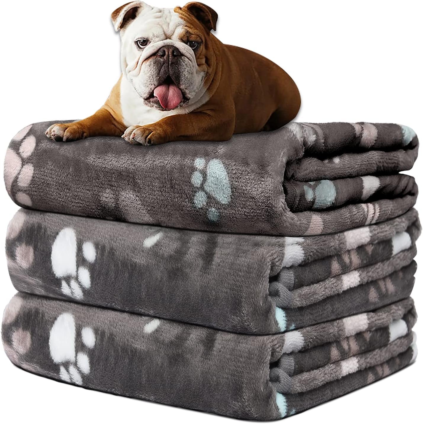 rezutan-dog-blankets-for-3-pack-large-medium-pet-cat-soft-fuzzy-washable-blanket-comfort-flannel-suitable-for-dogs-kennels-beds-sofas-furniture-gifts-puppy-essentials-41-x-31-inch-black