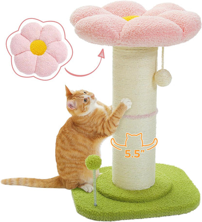 PEQULTI Flower Cat Scratching Post, Super Thick 5.5In Sisal Post, Pink | Small Cat & Kitten Scratcher: Removable Flower Bed, Sisal + Spring Ball, Enlarged Double Base; Cute Pink Flower Cat Tree1