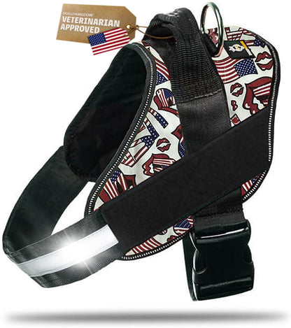 DOGGYKINGDOM No Choke Dog Harness with Handle and Patch Panels, Adjustable Reflective Dog Vest for Small Sized Dog, Blue, S16