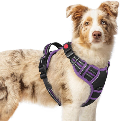 Rabbitgoo Dog Harness Medium Sized, Updated Easy on & off with 3 Buckles | No Pull No Choke, Walking with 2 Clips and Handle, Adjustable Soft Reflective, Blue, Medium49