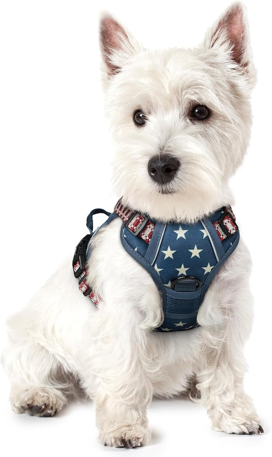 rabbitgoo-dog-harness-no-pull-for-large-dogs-with-2-leash-clips-pet-vest-no-choke-with-handle-adjustable-soft-padded-reflective-easy-control-for-walking-black-large
