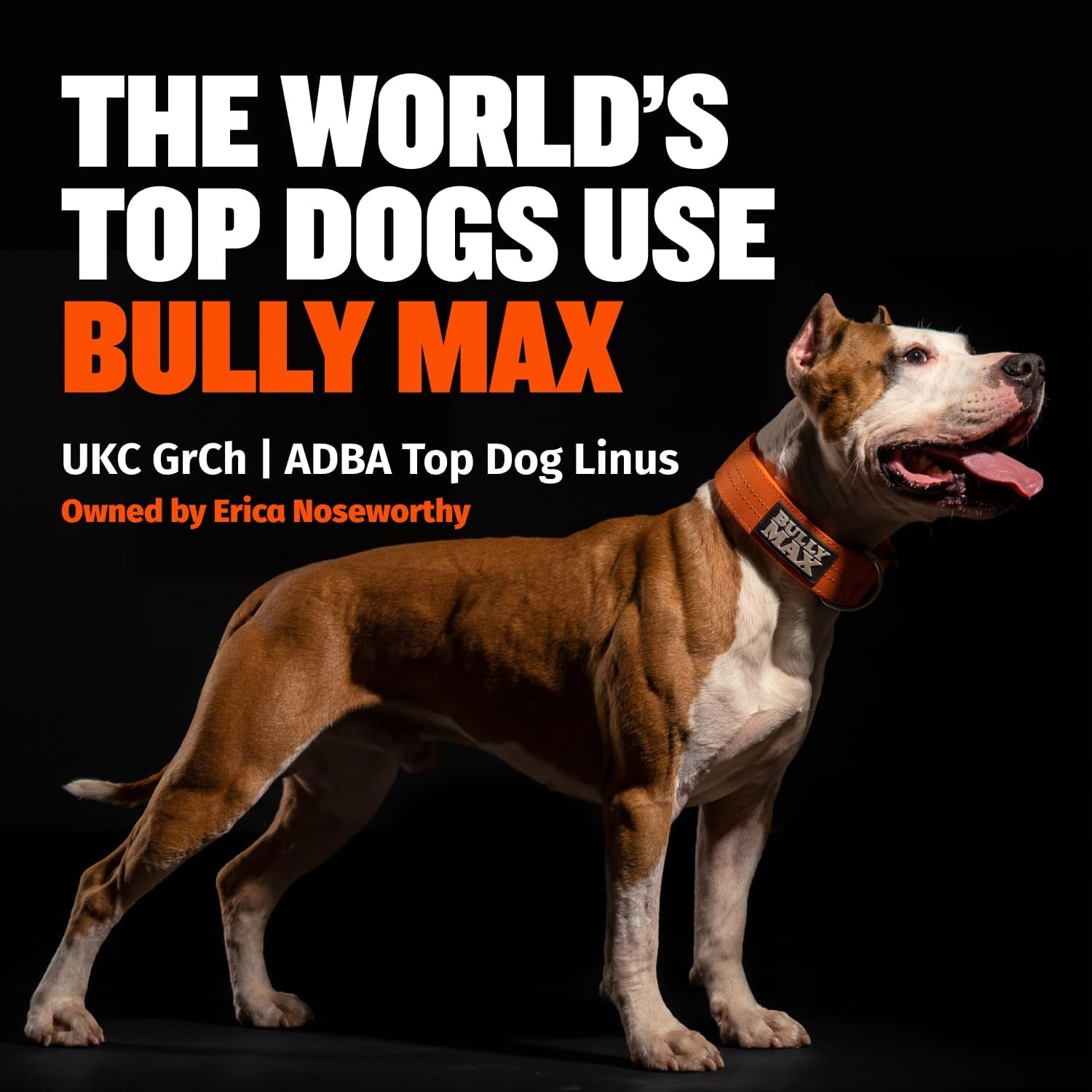 bully-max-dry-dog-food-for-adults-puppies-high-protein-fat-for-muscle-weight-gain-high-performance-dog-food-supplements-small-large-breed-dogs-535-calories-per-cup-chicken-15lb-bag