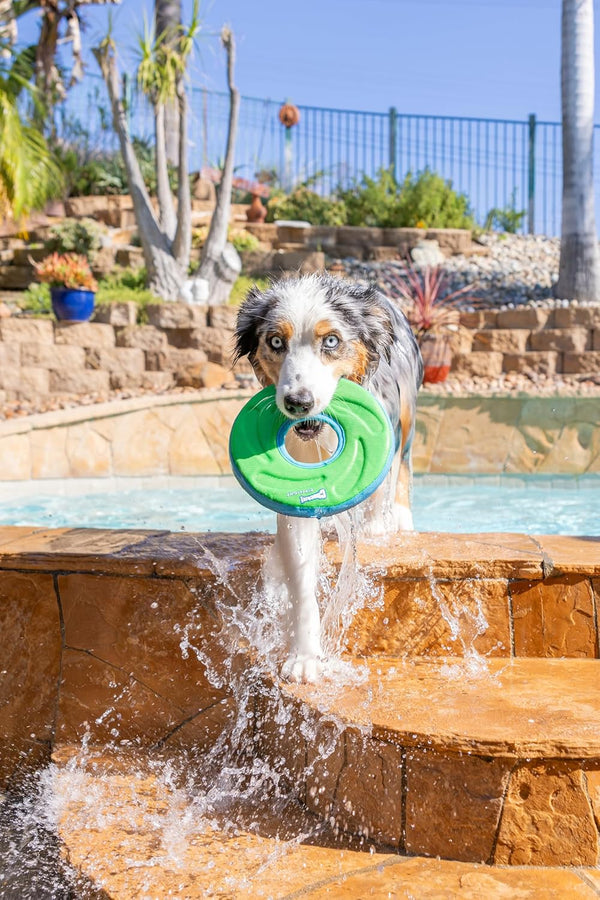 Chuckit! Amphibious Zipflight Floating and Flying Disc Dog Toy, Medium (8.5"), Assorted Colors (Orange and Blue/Green and Blue)2