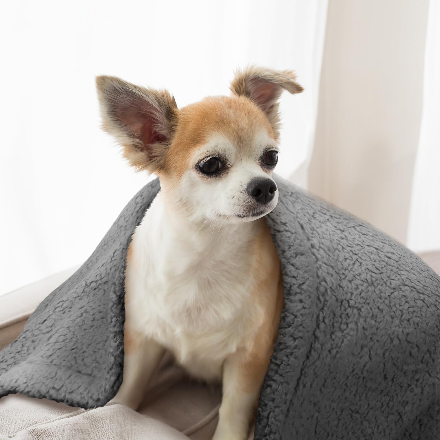 furrybaby-dog-blanket-soft-dog-blankets-for-large-dogs-puppy-essentials-washable-sherpa-fleece-cat-blanket-32x40-inches-for-bed-furniture-couch-sofa-medium-grey