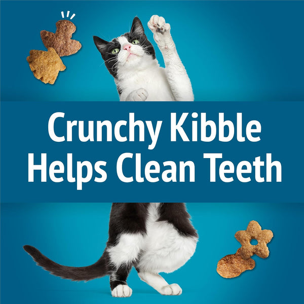 Purina Friskies Cat Treats, Party Mix Seafood Lovers Crunch - (Pack of 6) 6 Oz. Pouches5