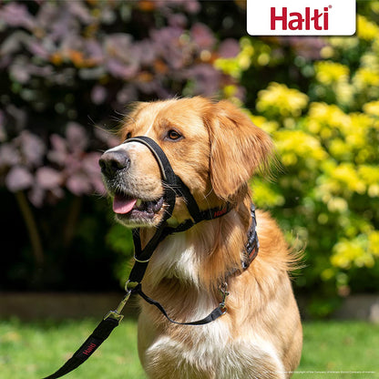 Halti Headcollar (Size 4, Black) & Halti Training Leash (Size Large, Black) | Bundle | Stop Your Dog Pulling on the Leash | Adjustable, Lightweight with Padded Nose Band | Suitable for Large Dogs6