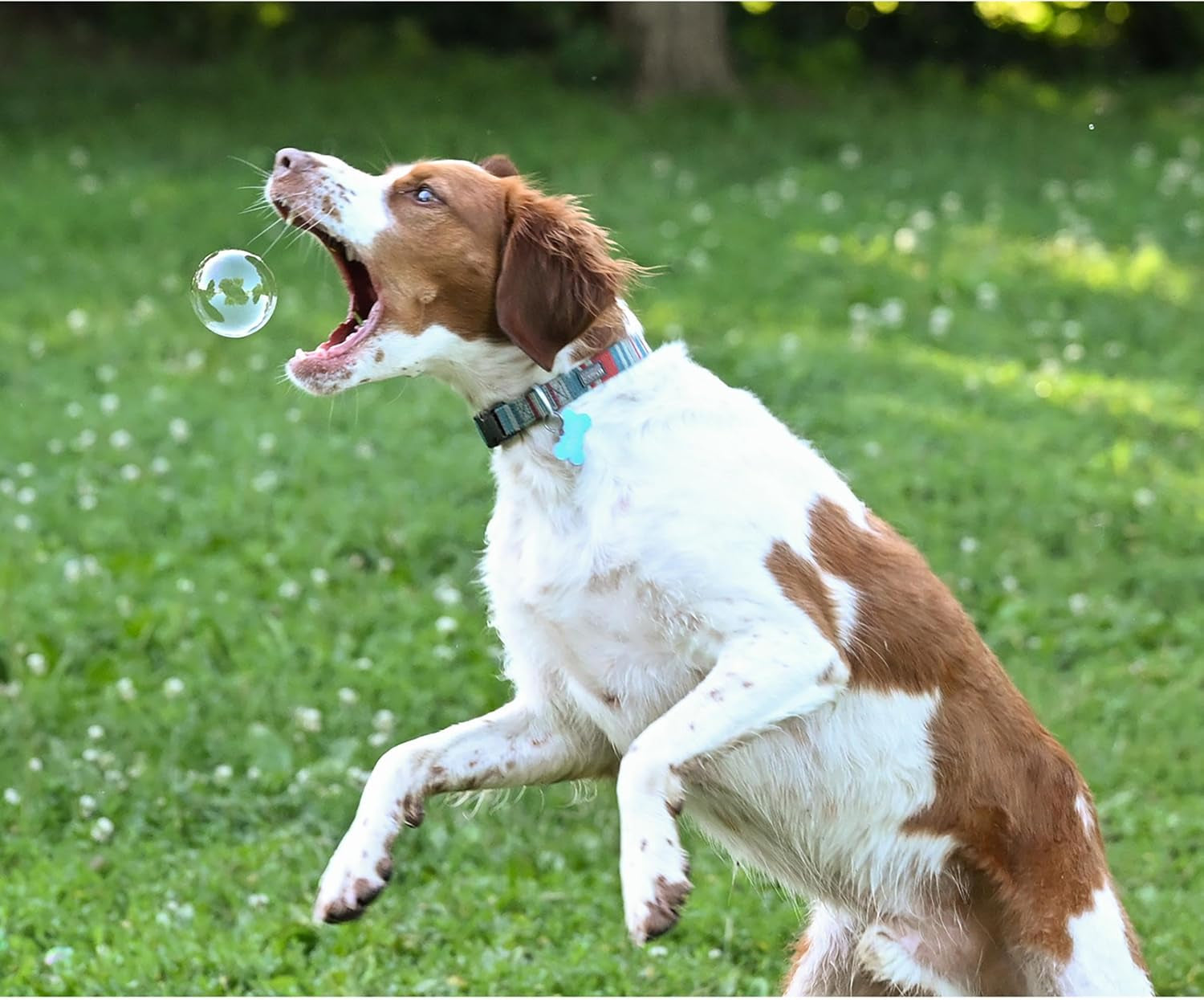 puppy-love-bubbles-peanut-butter-bacon-scented-bubbles-4oz-bottle-2-pack-combo-1-peanut-butter-1-bacon-for-dogs