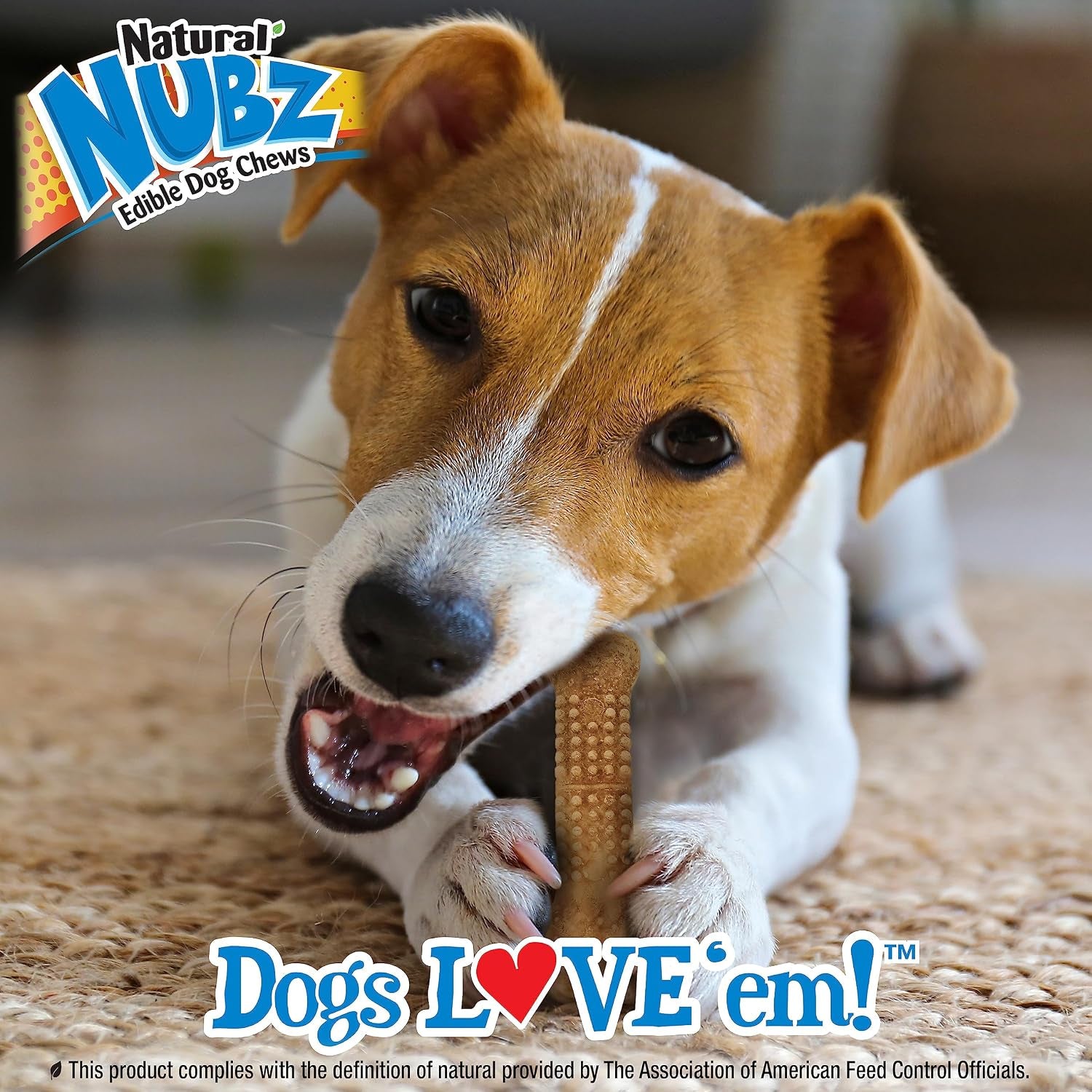 nylabone-nubz-wild-natural-dog-treats-bison-flavor-small-12-count-long-lasting-dog-chews-made-in-usa-limited-ingredients-highly-digestible-dog-dental-treats-for-small-dogs-up-to-30-lbs