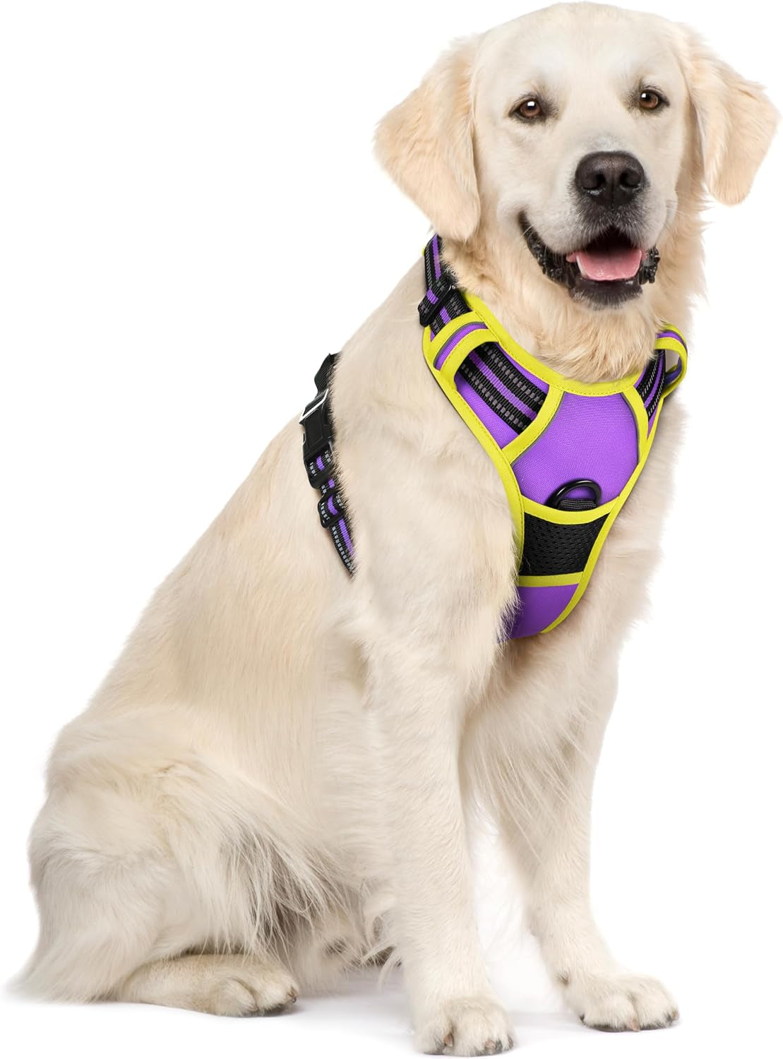 rabbitgoo-dog-harness-no-pull-for-large-dogs-with-2-leash-clips-pet-vest-no-choke-with-handle-adjustable-soft-padded-reflective-easy-control-for-walking-black-large
