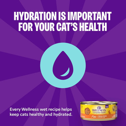Wellness Complete Health Pate Variety Pack Kitten Canned Wet Cat Food, Natural, Protein Rich, Grain Free, Whitefish and Chicken Recipes, 3 Oz, Pack of 12 Cans3