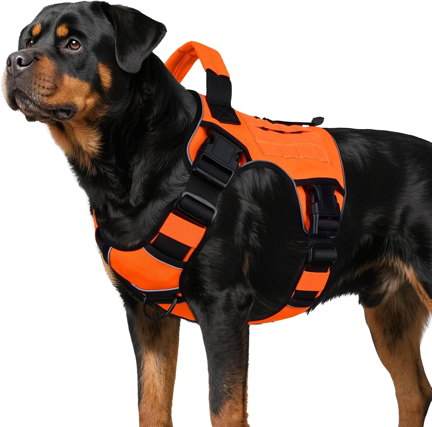 wingoin-tactical-dog-harness-for-large-dogs-heavy-duty-no-pull-dog-harness-with-handle-adjustable-reflective-military-k9-german-shepherd-big-size-dog-vest-for-walking-training-hunting-green-l-with-handle-adjustable-reflective-green-military-k9-style-big-size-dog-vest-for-german-shepherd-for-walking-training-hunting