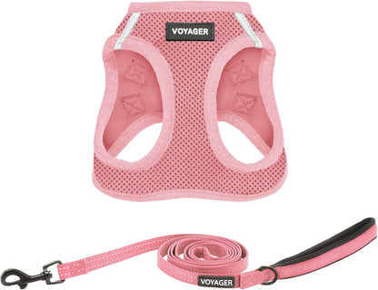 Best Pet Supplies Voyager Step-In Air All Weather Mesh Harness and Reflective Dog 5Ft Leash Combo with Neoprene Handle, for Small, Medium and Large Breed Puppies - Baby Blue, Small29