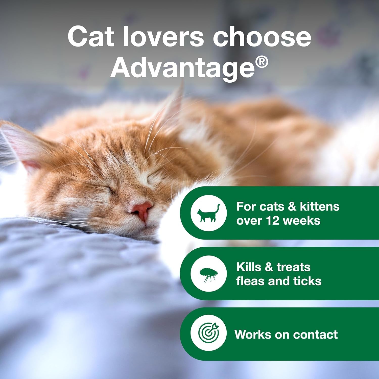 advantage-cat-flea-tick-shampoo-for-kittens-adult-cats-kills-fleas-ticks-8-oz
