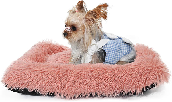 Nononfish Dog Crate Bed for Small Dogs Washable Orthopedic Flat for inside Crate Cages Kennel House Sofa Plush Comfy Sleeping Beige,24 In10