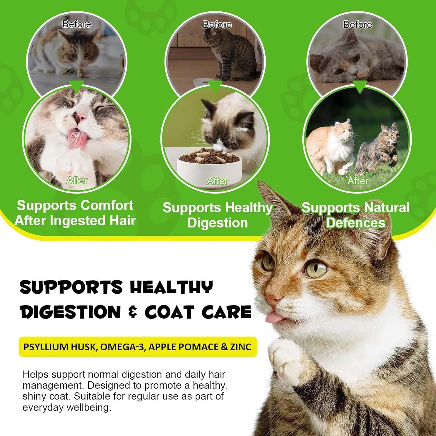cat-hairball-support-crunchy-creamy-chews-omega-3-zinc-for-healthy-skin-coat-tasty-chicken-flavor-supports-skin-coat-digestion-30-day-supply