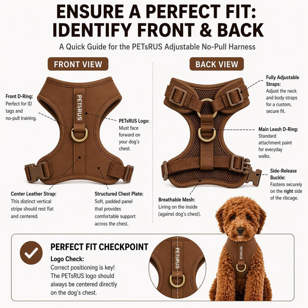 Premium No-Pull Dog Harness Soft Neoprene & Breathable Mesh Vest with Front & Back Clip D-Rings Adjustable Lightweight Walking Harness for Puppies, Small & Medium Dogs (Bronze Brown Gold, M)5