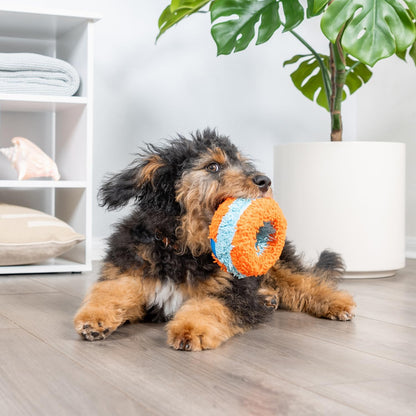Chuckit! Indoor Fetch Roller Toy for Dogs - Interactive Dog Toys for Boredom, Orange and Blue5