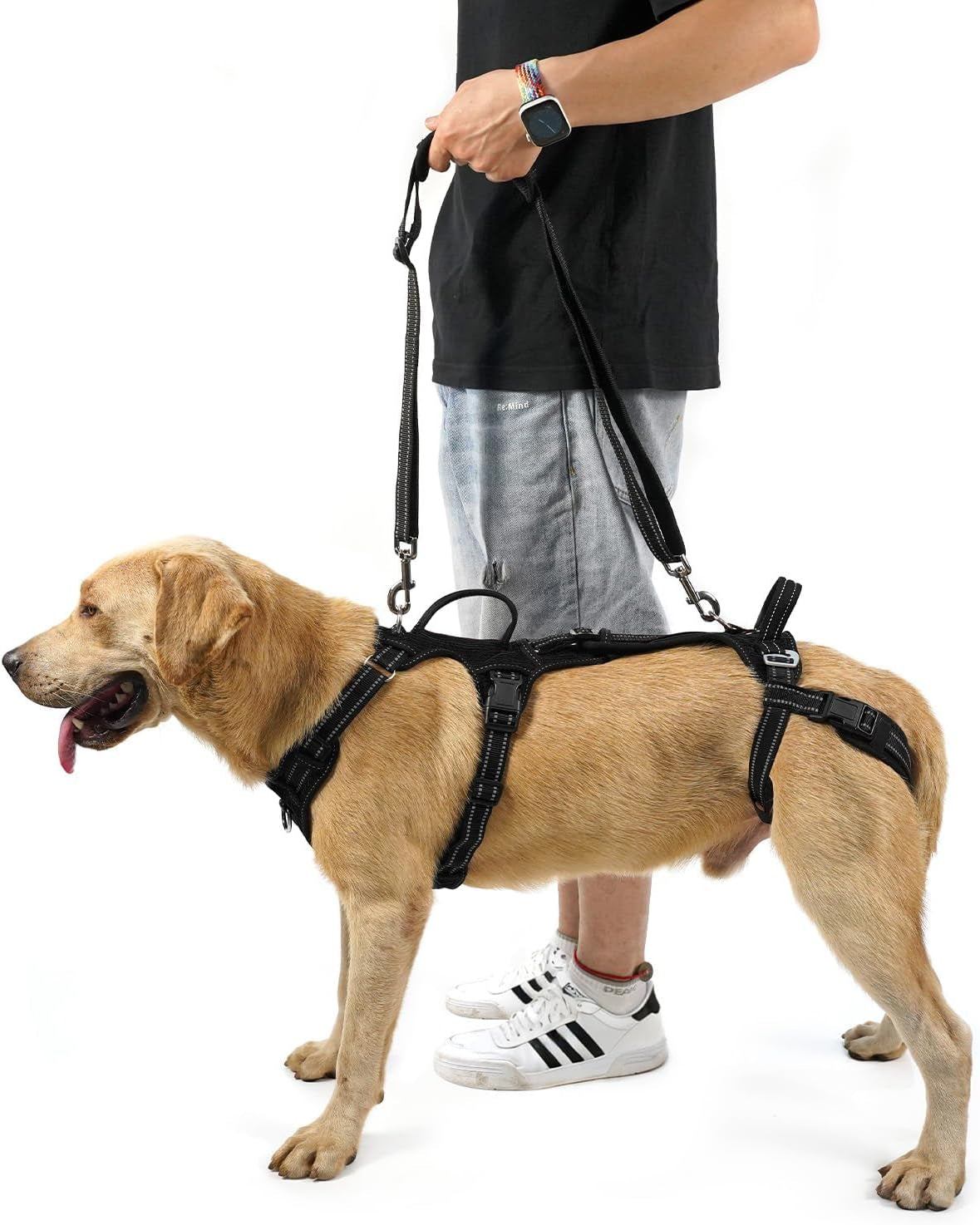 coodeo-mobility-dog-lift-harness-support-sling-walking-sling-for-dogs-pet-rear-leg-rehabilitation-support-vest-dog-carrier-for-senior-dogs-with-joint-injuries-arthritis-up-stair-black-l