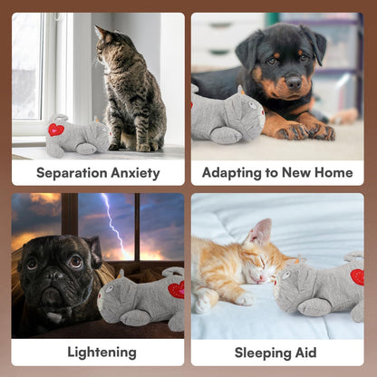 ALL for PAWS Heartbeat Cat Plush Toy – Calming Kitten Companion with Realistic Heartbeat, Anxiety Relief for Indoor Cats Dogs Pets7