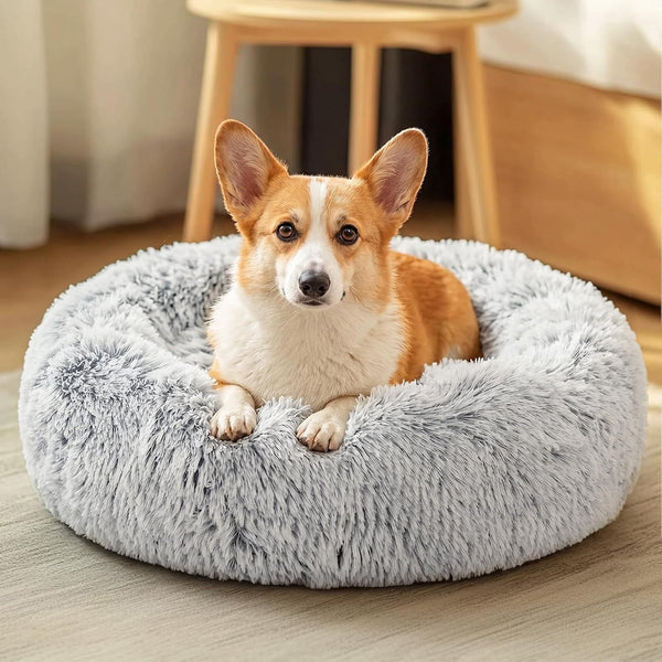 JOLLYVOGUE Small Dog Bed, Calming Soft Anti-Anxiety Donut Cat Bed, Washable round Fluffy Cushion for Small and Medium Pets (20")14