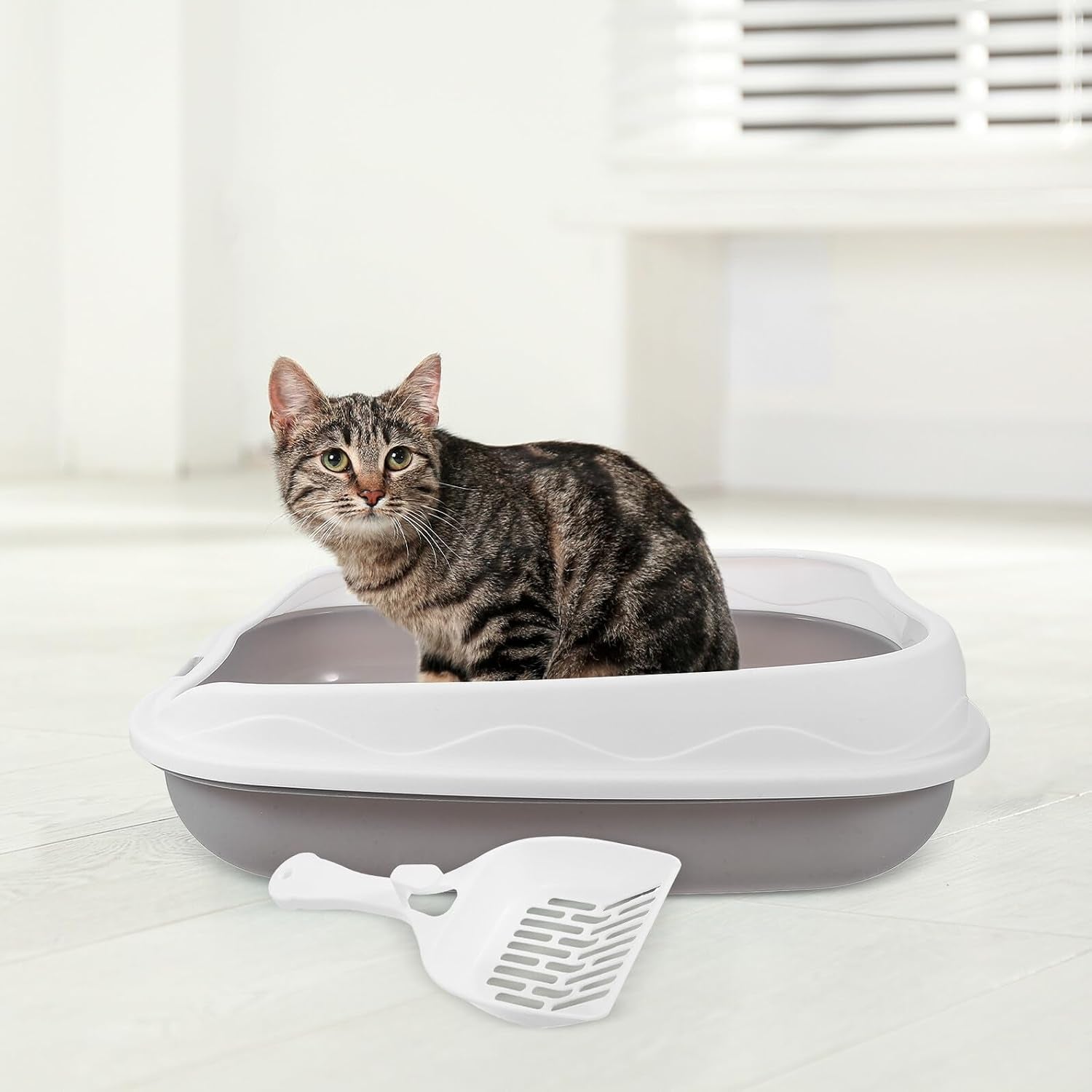 artibetter-semi-enclosed-cat-litter-box-with-scoop-small-gray-kitten-litter-pan-splash-resistant-open-design-pet-toilet-for-cats-and-kittens-suitable-for-indoor-housebreaking