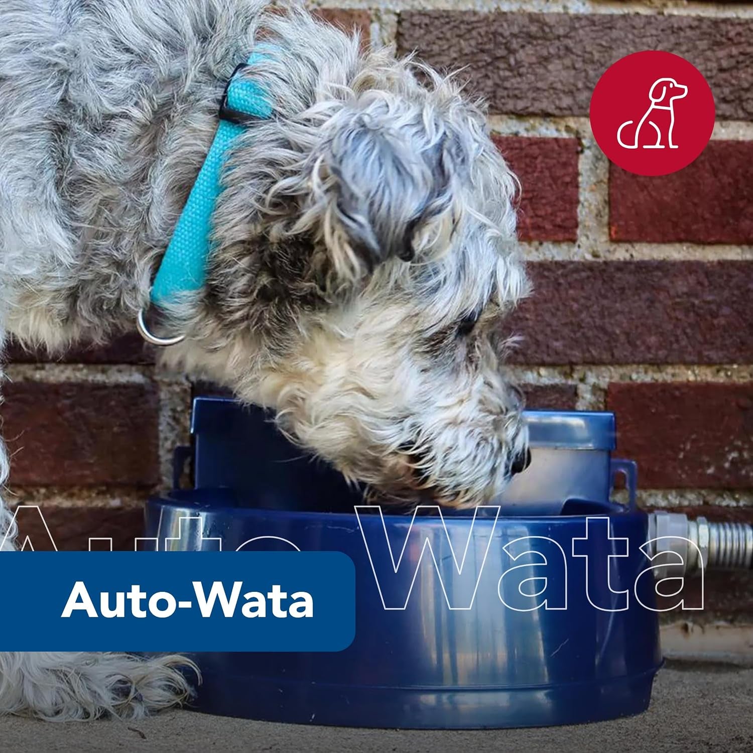 coastal-pet-bergan-auto-wata-outdoor-dog-cat-water-dispenser-automatic-water-bowl-for-pets-made-from-durable-bpa-free-plastic-self-watering-cat-dog-bowl-navy-48-ounces