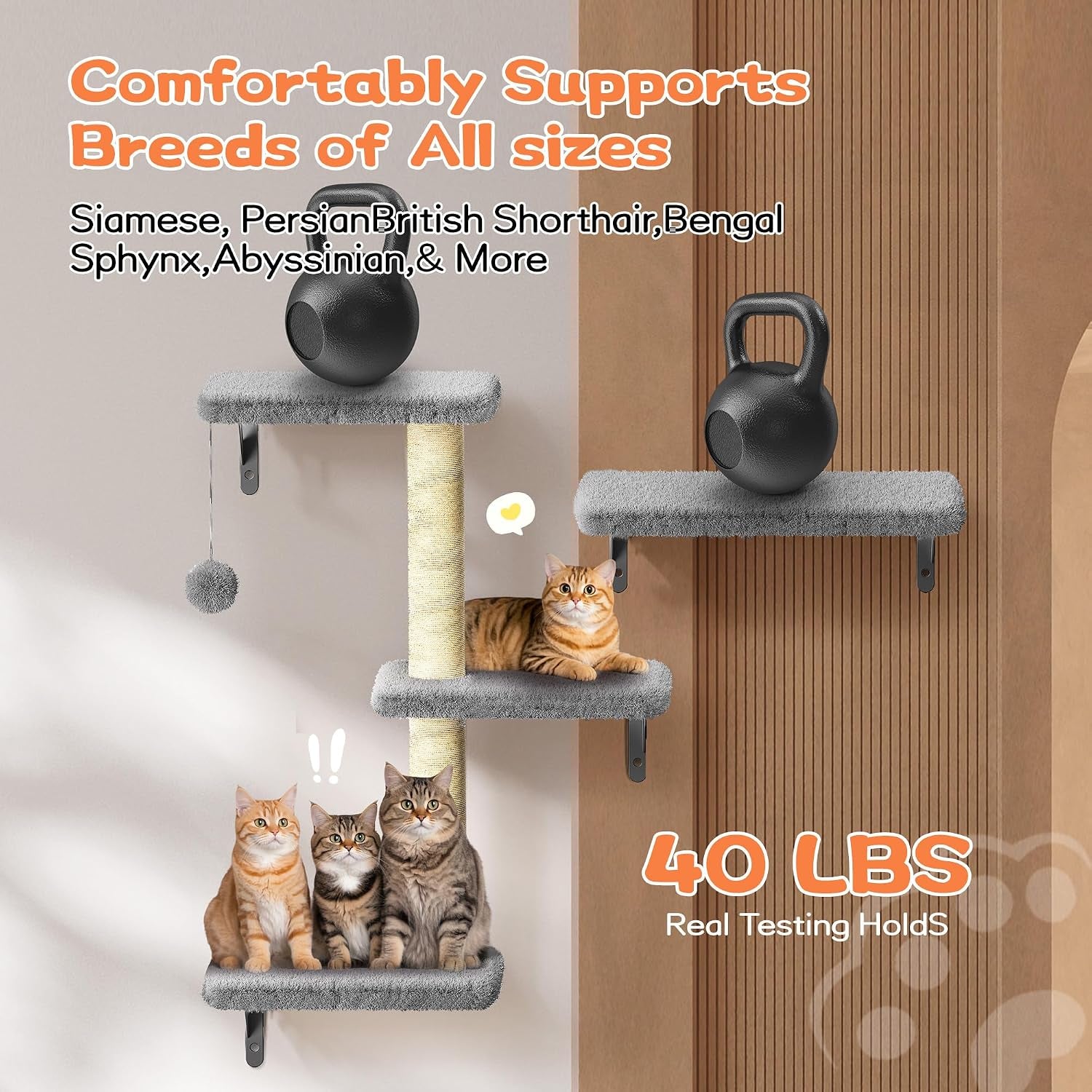 cat-wall-shelves-for-large-cats-stable-safe-kitty-walls-furniture-set-for-40lbs-cats-with-wooden-cat-climber-house-bridge-tree-steps-and-scratcher-for-16-inch-drywall-grey-5-in-1