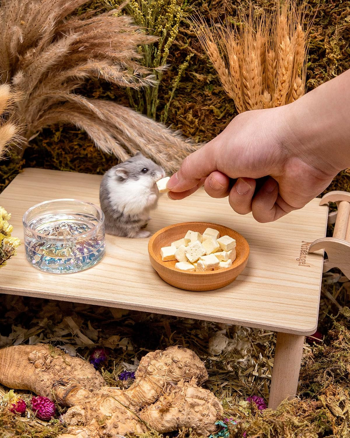 niteangel-hamster-snack-treats-toy-freeze-dried-tofu-no-additive-delivers-essential-vitamins-minerals-small-animal-natural-treat-for-dwarf-syrian-hamsters-gerbils-mice-degus-or-small-pets