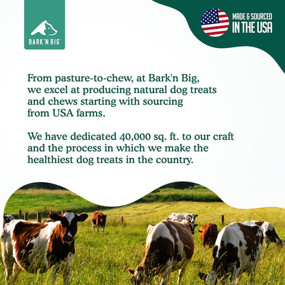 BARK'N BIG Beef Shin Bone Large Dogs Smoked Marrow Chew | Single Ingredient, Long Lasting, Natural Shank, Aggressive Chewers, Power Chewers, 1 Count5