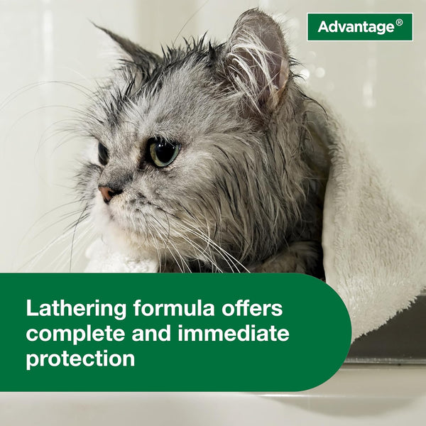Advantage Cat Flea & Tick Shampoo for Kittens & Adult Cats | Kills Fleas & Ticks | 8 Oz.7
