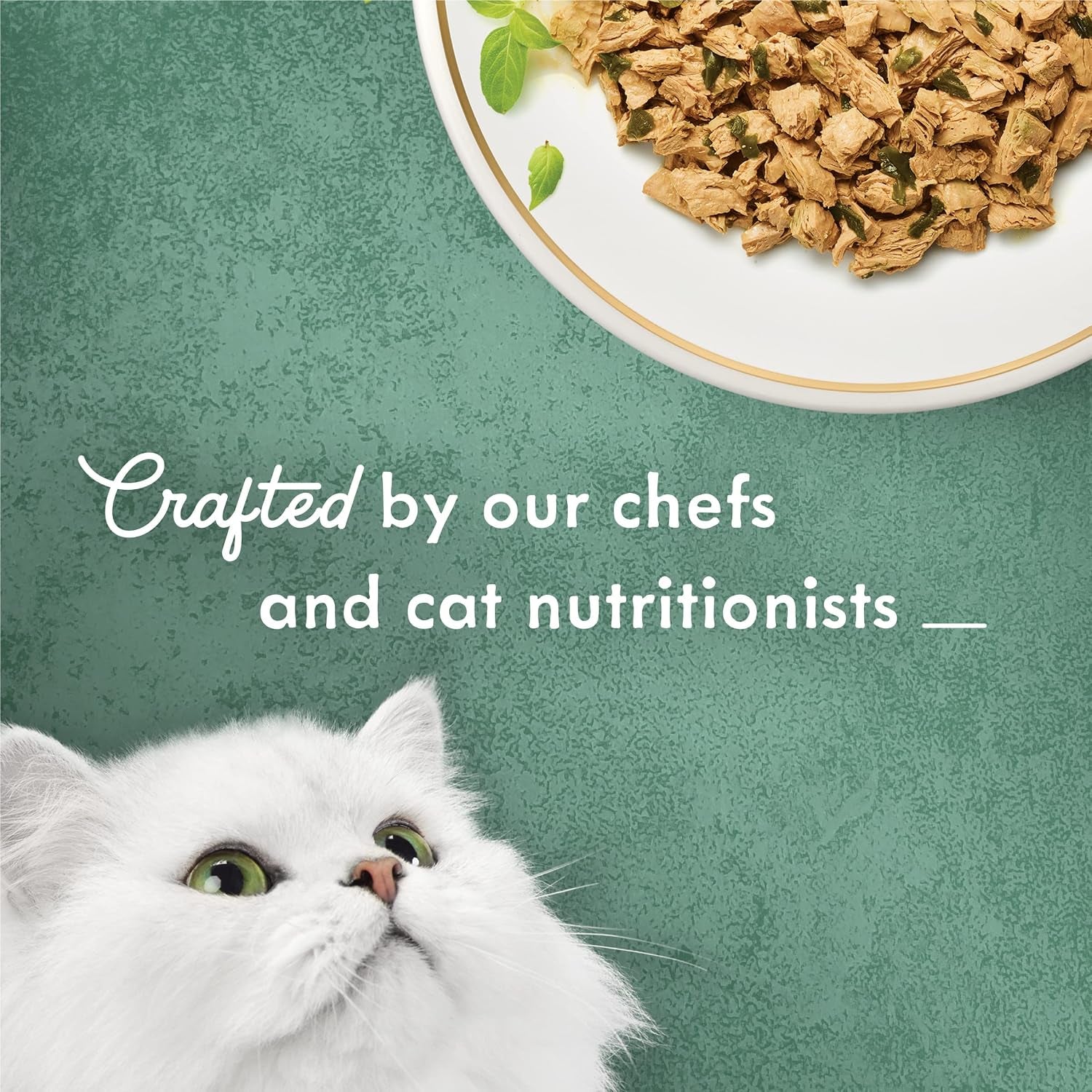 purina-fancy-feast-wet-cat-food-medleys-shredded-white-meat-chicken-fare-with-spinach-in-savory-cat-food-broth-pack-of-24-3-oz-cans