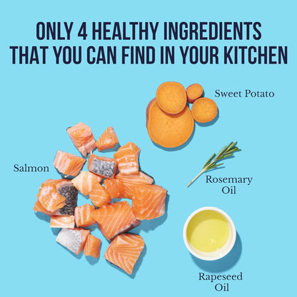 Snif-Snax Salmon Bites Dog Treats 3 Pack, All Natural Human-Grade Training Treats for Dogs, Healthy Grain-Free Puppy & Adult Rewards, Protein Rich Soft Salmon Snacks6