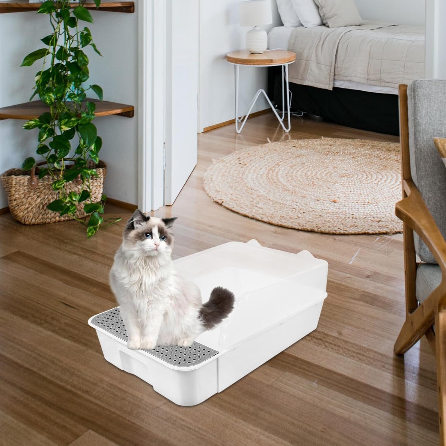 detachable-semi-enclosed-cat-litter-box-splash-resistant-small-white-cat-toilet-pan-for-indoor-kitten-training-and-litter-housebreaking