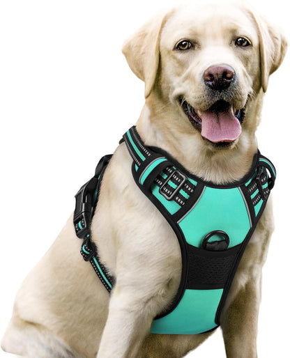 Rabbitgoo Dog Harness, No Pull for Large Dogs with 2 Leash Clips, Pet Vest | No Choke with Handle, Adjustable Soft Padded, Reflective, Easy Control for Walking, Black, Large83