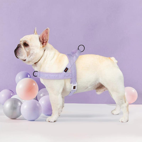Didog No Pull Dog Harness with Breathable Mesh Padded, Quick Fit & Easy on Dog Vest Harness for Small Medium Large Dogs Training Walking(Purple,Xs)2
