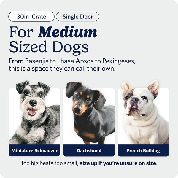 Midwest Homes for Pets 30-Inch Icrate for Medium Breeds, 21-40 Lbs, Single Door Folding Dog Crate with Divider Panel, Leak-Proof Tray & Secure Latch, Portable, Durable & Easy to Assemble2