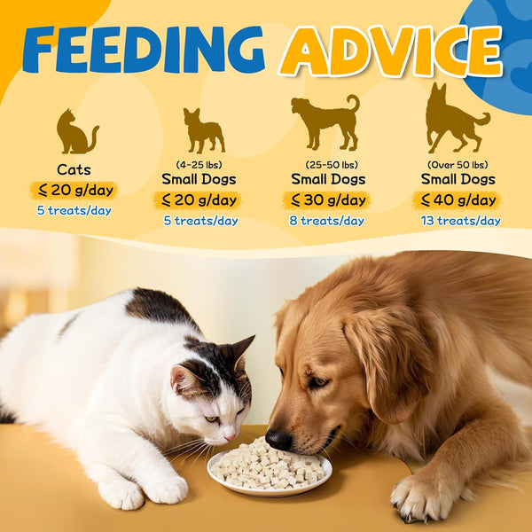 Gazeupon Freeze Dried Chicken Dog & Cat Treats, Single Ingredient | High Protein Training Treats, Food Topper for Picky Eaters, Grain Free, Natural Snacks for Puppies and Adult Dogs, 10.58 Oz6