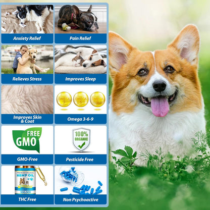 Oil for Dogs & Cats 60Ml,Pet Oil for Pain,Skin,Arthritis Pain,Pain Relief,Calming,Omega 3,6,9 for Dog Emotions,Barking & Dog Joints,Supports & Maintains Healthy Joints (1 Pack, Blue)7