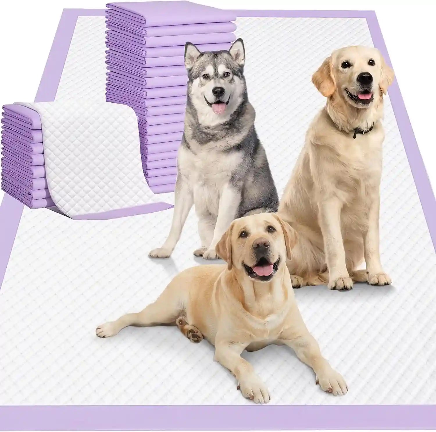 dogs-on-purple-edged-puppy-pads-ideal-for-pet-training-and-indoor-use-with-stacks-of-absorbent-mats-nearby