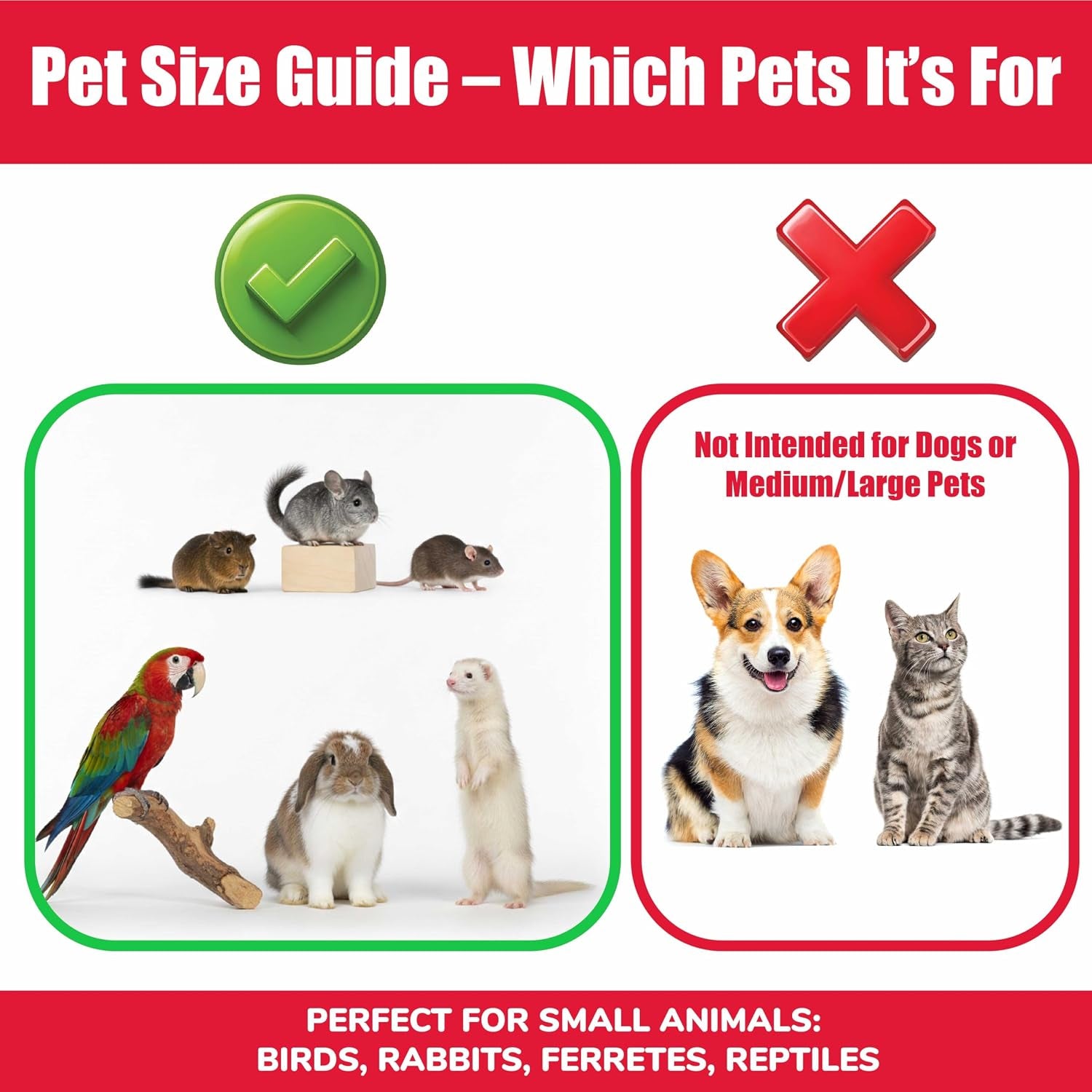 spot-stainless-steel-mini-coop-cup-with-wire-hooks-10-oz-small-pet-food-water-bowl-rust-resistant-easy-to-clean-attaches-to-cages-for-birds-parrots-rabbits-ferrets-rats-small-pets