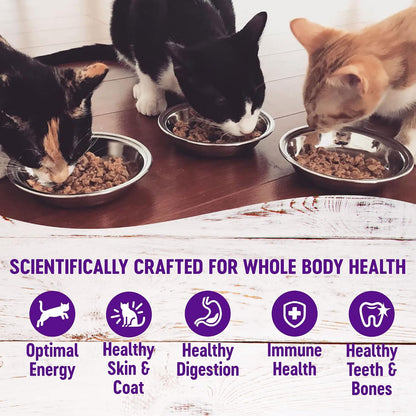 Wellness Healthy Indulgence Morsels Variety Pack Adult Wet Cat Food, Natural, Protein Rich, Grain Free, 2 Flavors, 3 Oz, Pack of 8 Pouches4