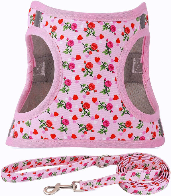 Step in Dog Harness Leash Set- All Weather Reflective No-Pull Floral Pattern Padded Mesh Vest Harness for Cats Puppy Extra-Small Small Medium Large Dogs - Pink Flower - S12