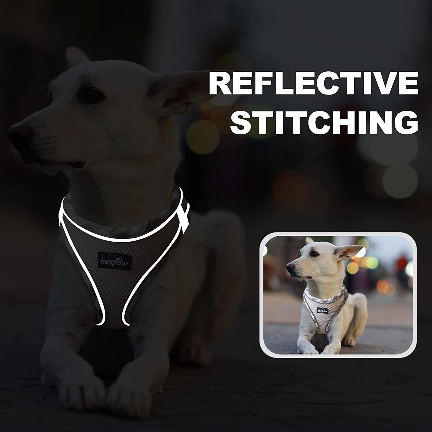 haapaw-dog-harness-with-leash-set-no-pull-adjustable-reflective-step-in-puppy-harness-with-thickened-padded-vest-for-extra-small-small-medium-dogs