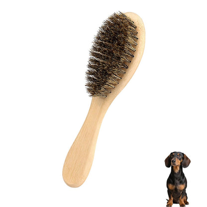 Soft Boar Bristle Dog Brush for Short Haired, Ideal Pet Hair Brush | Gentle Deshedding & Grooming Tool, Puppy Essentials for Grooming and Shedding1