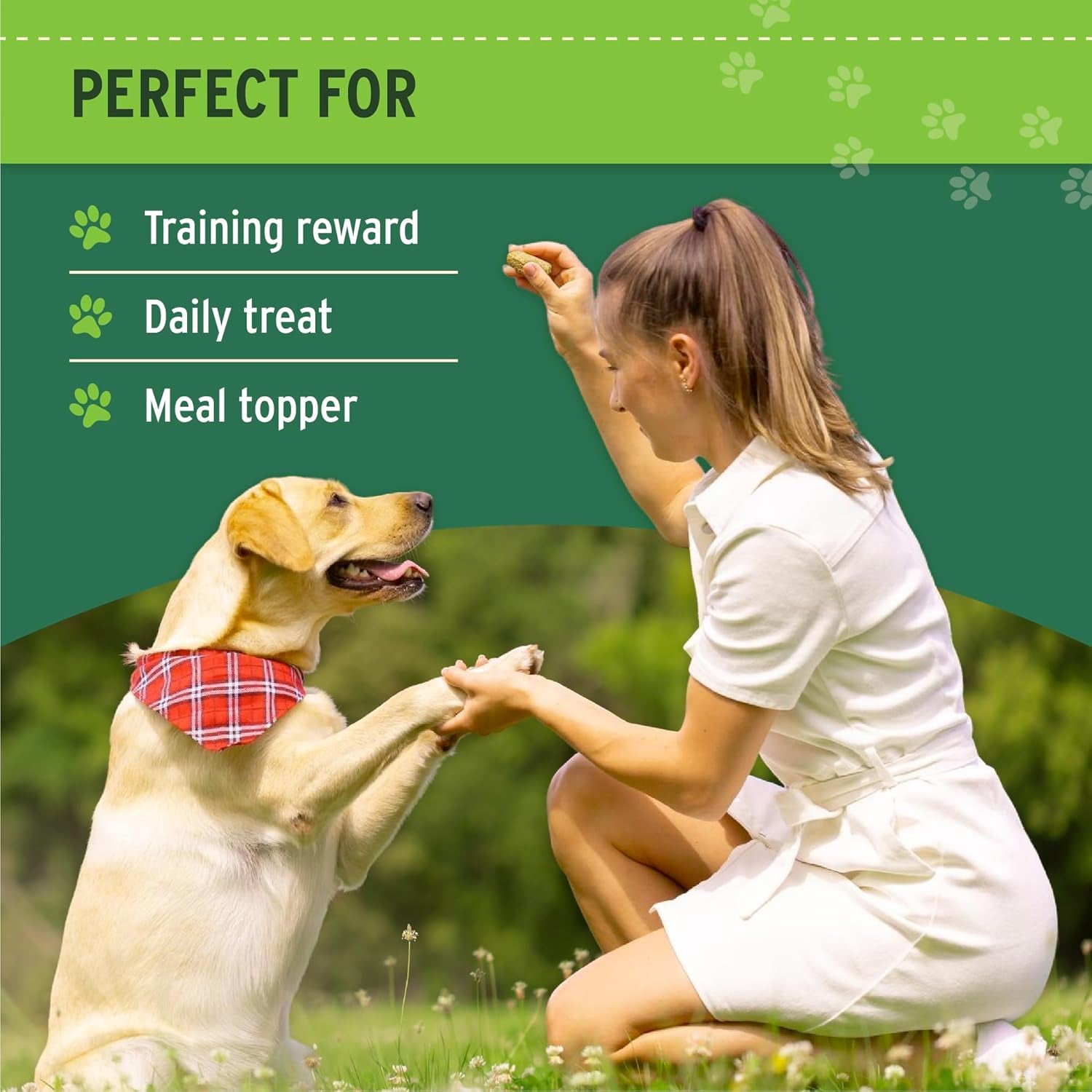 nutri-bites-freeze-dried-beef-liver-dog-cat-treats-single-ingredient-high-protein-pet-treats-17-6-oz