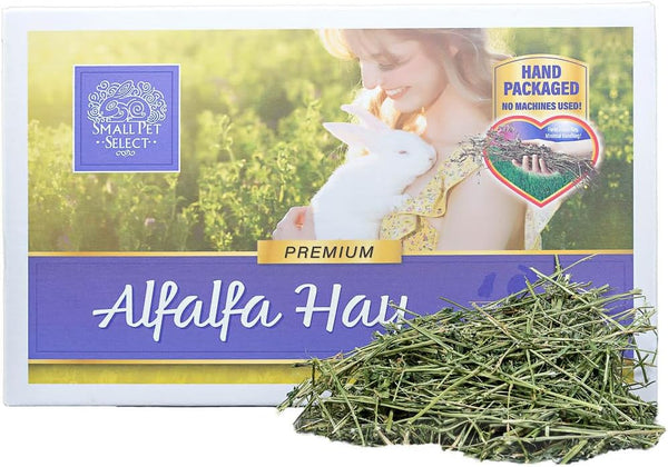 Small Pet Select Alfalfa Hay Pet Food for Young Rabbits, Guinea Pigs, Chinchillas, Tortoises and Other Small Animals, Easy to Store Box, 5 LB7